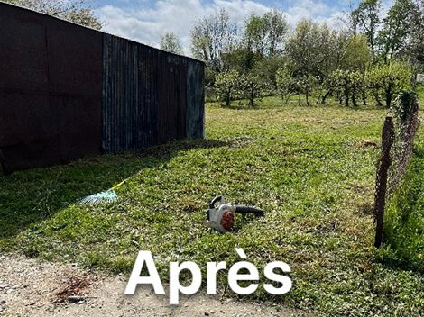 debrousaillage jardin