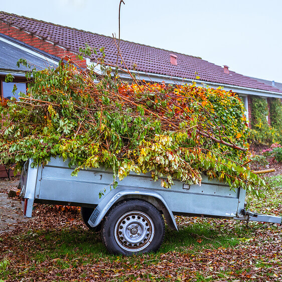 collecte des déchets verts issus de vos travaux d’élagage