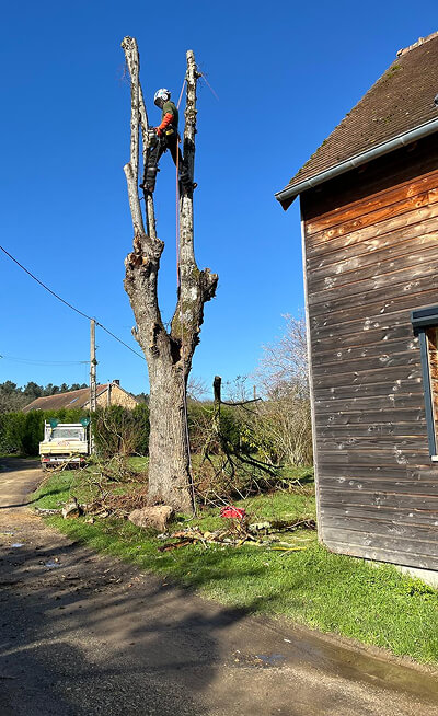 Élagage en Hauteur avec 