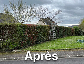 debrousaillage jardin