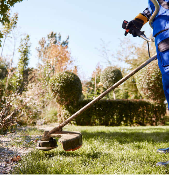 entretien de jardin à Angers