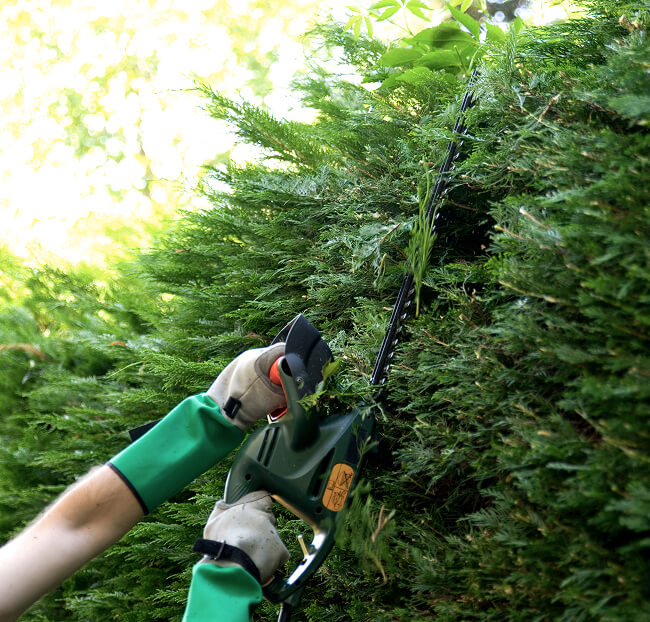 entretien de jardin à Angers